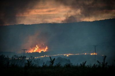Φωτιά στη Μαγνησία: «Με την πρώτη βροχή, οι καρκινογόνες ουσίες της πυρκαγιάς θα περάσουν στο νερό που πίνουμε»