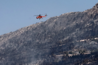 «Μάχη» με τις αναζωπυρώσεις σε Πάρνηθα, Έβρο, Ροδόπη και Βοιωτία - Ποια είναι η εικόνα στα πύρινα μέτωπα