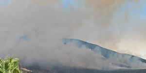 Φωτιά τώρα στην Θεσπρωτία, μαίνεται ανεξέλεγκτο το πύρινο μέτωπο