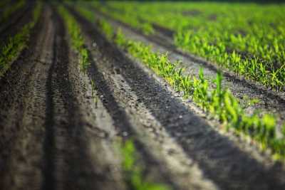 Αγροτικό Επιχειρηματικό Πάρκο δημιουργείται στην Πέλλα