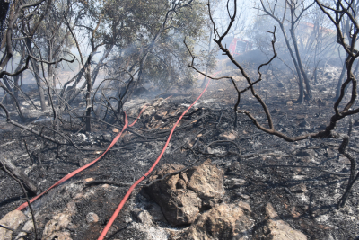Οριοθετήθηκε η φωτιά στην Ανάβυσσο - Η Πυροσβεστική εκκένωσε προληπτικά οικισμό