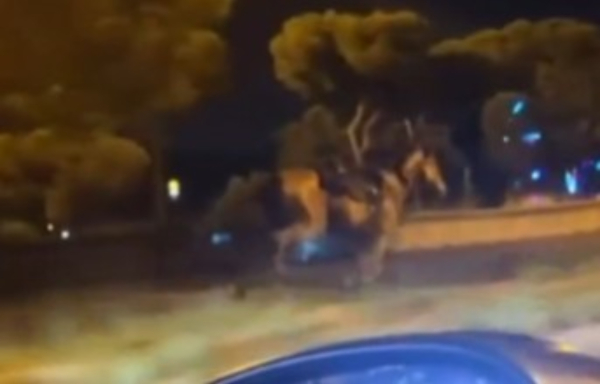 Εκτός ελέγχου άλογα στη Ρώμη: Τρόμαξαν και άρχισαν να τρέχουν στις λεωφόρους (βίντεο)