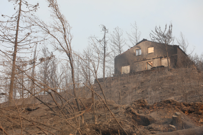 Φωτιά στον Έβρο: Όλα τα μέτρα για την αποζημίωση των πυρόπληκτων, η κρατική βοήθεια για νοικοκυριά και επιχειρήσεις