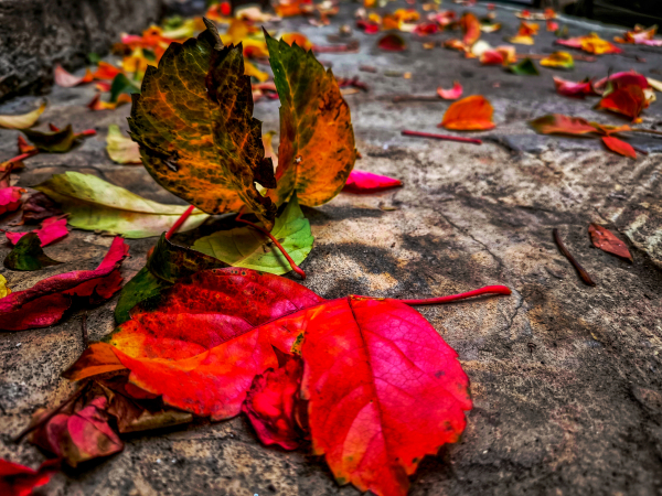Απότομη αλλαγή του καιρού με καταιγίδες και ξαφνικό κρύο