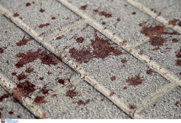 Δολοφονία στη Νέα Φιλαδέλφεια: Συνελήφθησαν στα σύνορα επτά Κροάτες που προσπάθησαν να διαφύγουν