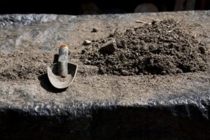 Εγκρίθηκαν ανειλημμένες υποχρεώσεις για την Δάσωση Γεωργικών Γαιών