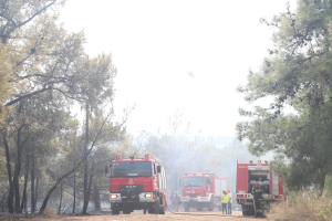 Απαγόρευση κυκλοφορίας σε περιοχές της Θεσσαλονίκης και του Κιλκίς λόγω κινδύνου εκδήλωσης φωτιάς