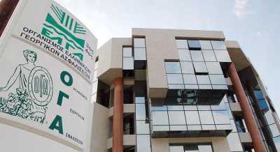 Στις 30/6 το οικογενειακό επίδομα του ΟΓΑ