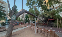 Καλαμαριά: Έπεσε δέντρο σε πάρκο, τραυματίστηκαν παιδί 17 μηνών και η μητέρα του
