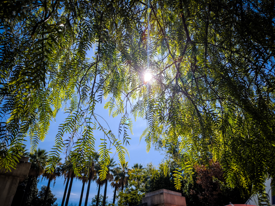 Κλέαρχος Μαρουσάκης: Φεύγει η κακοκαιρία - Πού θα πέσουν οι τελευταίες βροχές