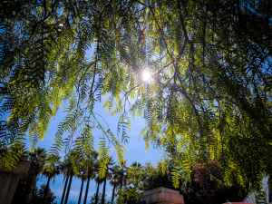 Κλέαρχος Μαρουσάκης: Φεύγει η κακοκαιρία - Πού θα πέσουν οι τελευταίες βροχές