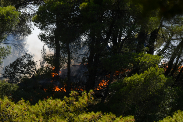 Συνελήφθη ύποπτος για την φωτιά στην περιοχή Καλλιθέα της Πάτρας