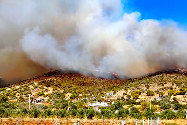 Μεγάλη φωτιά στην Κερατέα: Αγνοείται γυναίκα, ζημιές σε σπίτια - Εκκενώθηκε οικισμός (βίντεο)