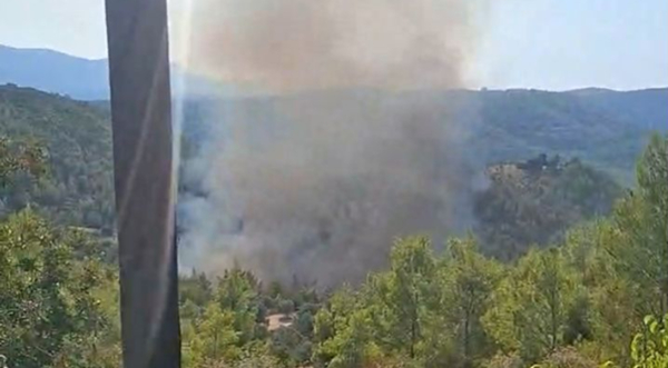 Φωτιά τώρα στο Μαρκόπουλο Ωρωπού - Ήχησε το 112