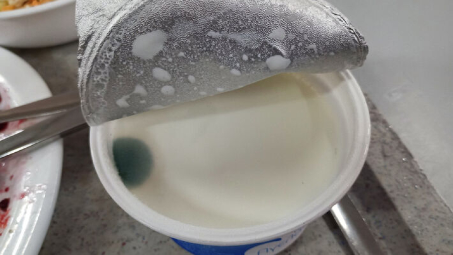 Σάλος στη Φιλοσοφική του ΕΚΠΑ: Μοίρασαν στους φοιτητές μουχλιασμένα γιαούρτια