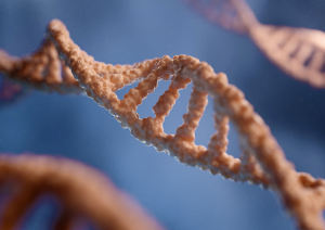 Παγκόσμια Ημέρα DNA: χρειάζεται ποικιλομορφία και συμπερίληψη στην έρευνα