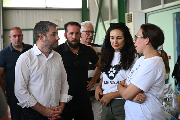 Επίσκεψη Ανδρουλάκη στον σταθμό φιλοξενίας πυρόπληκτων ζώων στα Μέγαρα
