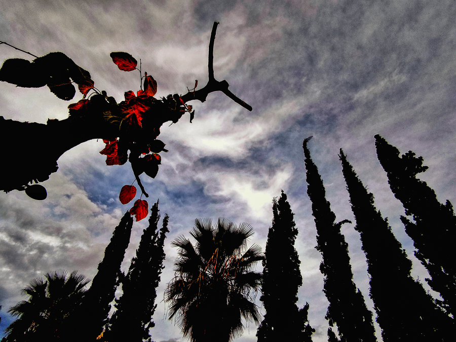 Οι θερμοκρασίες μέχρι τα Χριστούγεννα - Η τάση σύμφωνα με την ανάλυση Κολυδά