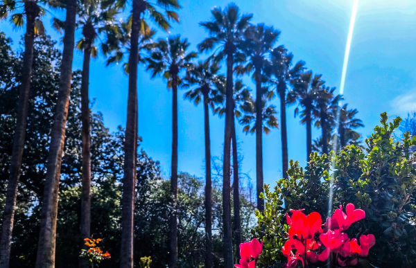 Κλέαρχος Μαρουσάκης: «Κλείδωσε» η ανατροπή για τον καιρό το Πάσχα - «Πολλές ώρες ηλιοφάνειας»