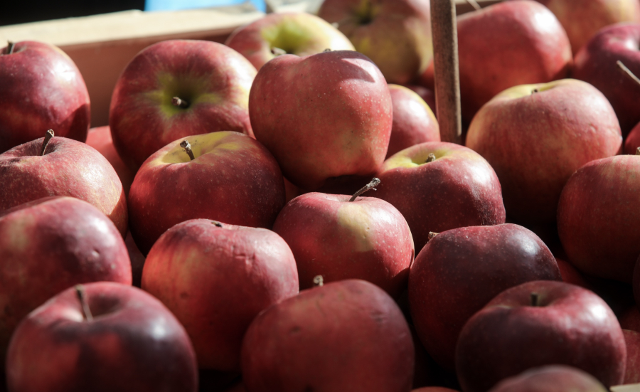 Πότε να τρώτε μήλα για καλύτερη πέψη και αδυνάτισμα