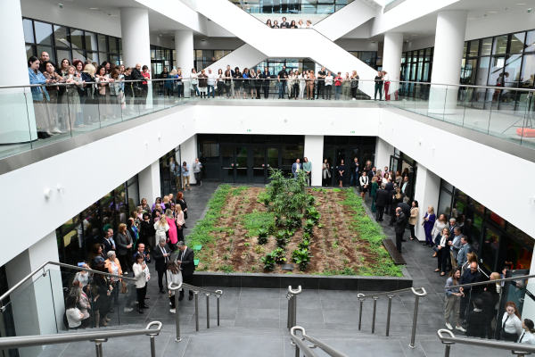 Η εφορία «γερνάει» - Μειώνονται οι ελεγκτές της ΑΑΔΕ