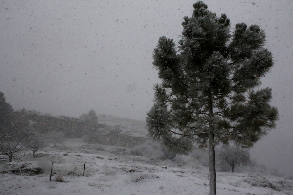 Κλέαρχος Μαρουσάκης: Έρχεται νέο κύμα κακοκαιρίας με πολική αέρια μάζα και χιόνια στα βόρεια προάστια Αττικής