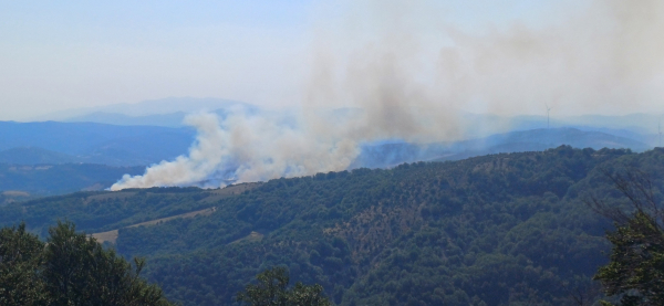 Μάχη με τις φλόγες δίνουν οι πυροσβέστες στη Χλόη Ροδόπης, ρίψεις από 11 εναέρια, ήχησε «112»