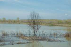 Ξεκίνησε η καταγραφή των πλημμυρισμένων εκτάσεων στις Σέρρες