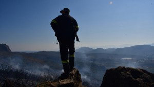 Προσλήψεις 5.066 υπαλλήλων στα δασαρχεία με νέα κοινωφελή εργασία