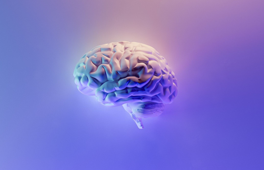 Ετοιμαστείτε για βιοϋπολογιστές που θα τροφοδοτούνται από ανθρώπινα εγκεφαλικά κύτταρα