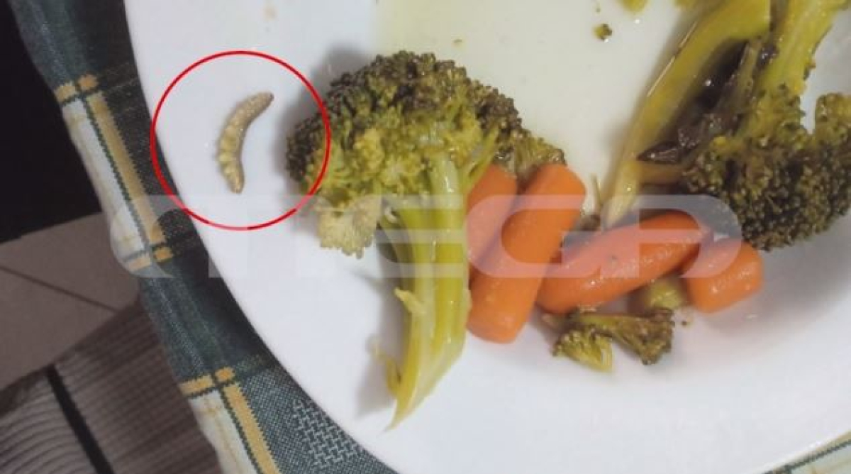 Αλλοιωμένα σχολικά γεύματα στη Λαμία: Κοτόπουλο με πούπουλα και λαχανικά με σκουλήκια