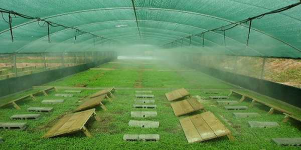 Αλλαγές στα εκτροφεία σαλιγκαριών