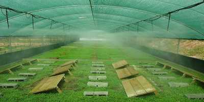 Αλλαγές στα εκτροφεία σαλιγκαριών