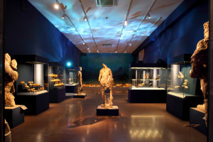 13 θέσεις εργασίας στο Εθνικό Αρχαιολογικό Μουσείο