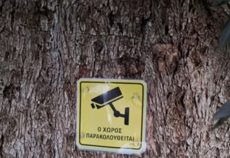 Έβαλαν κάμερες στις ελιές στην Κρήτη - Η απίστευτη πινακίδα