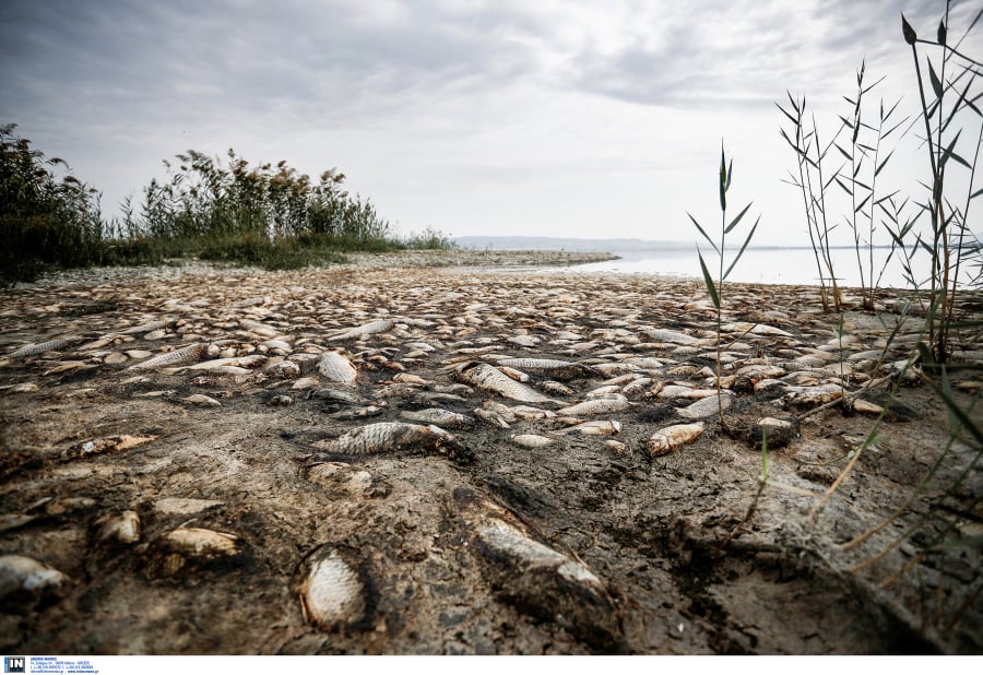 Σε εξέλιξη η ερημοποίηση στην Ελλάδα: Πού εντοπίζεται, αλλάζει η αντιπυρική περίοδος