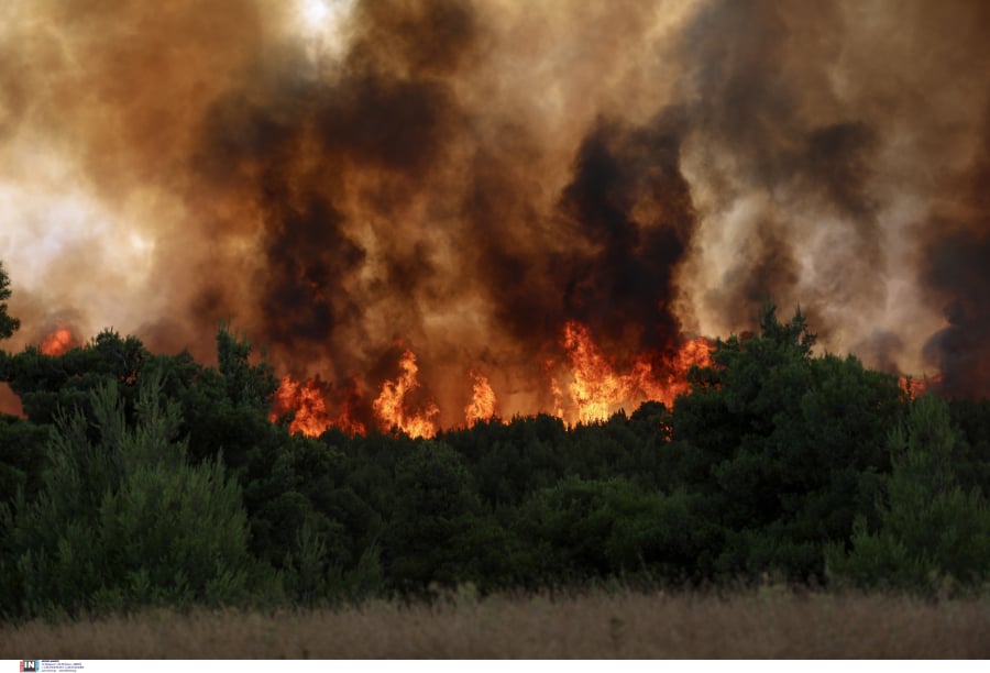 Φωτιά τώρα στον Λαγκαδά Θεσσαλονίκης, επί τόπου ισχυρή δύναμη της Πυροσβεστικής