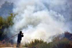 Αποστόλου: Η οικολογική καταστροφή απο την πυρκαγιά στην Εύβοια είναι τεράστια 