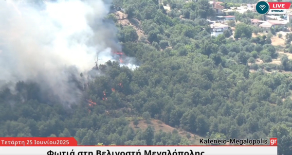 Φωτιά τώρα στην Αρκαδία, επιχειρούν 6 εναέρια