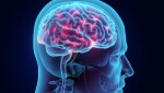 Το LSD και άλλα ψυχεδελικά δημιουργούν ανώτερες καταστάσεις συνείδησης...