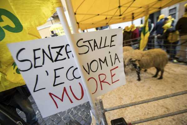 Με πρόβατα μπήκαν στη Ρώμη Ιταλοί κτηνοτρόφοι