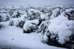 photo: Eurokinissi