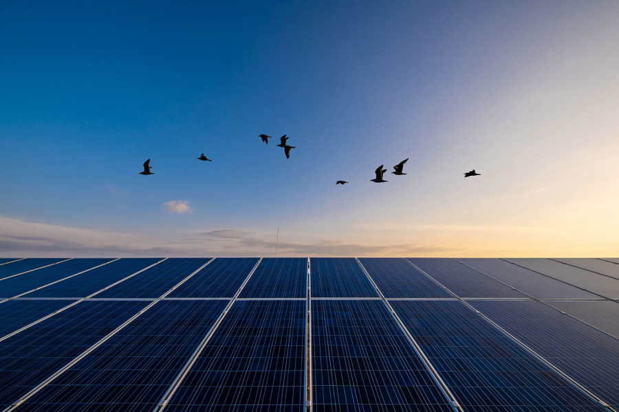 Η METLEN επενδύει στην Ιταλία με νέα έργα ΑΠΕ