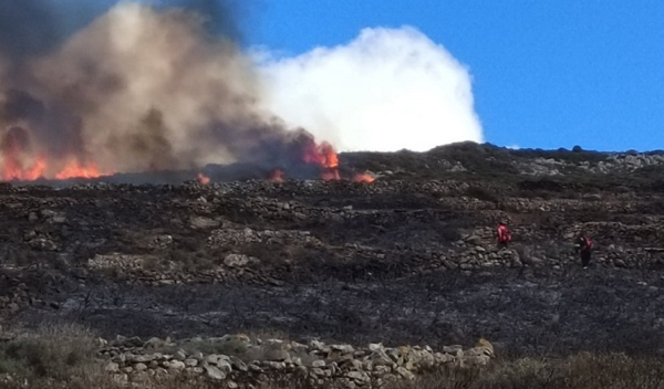 Πάρος: Υπό μερικό έλεγχο η φωτιά, επιχειρούν και πυροσβέστες από Σύρο- Νάξο