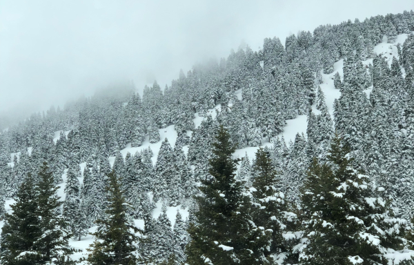 Ο καιρός φέρνει χιονοεκπλήξεις στην Ελλάδα
