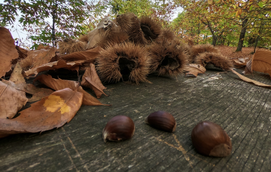 Κάστανα: Ένα υγιεινό σνακ πλούσιο σε κάλιο