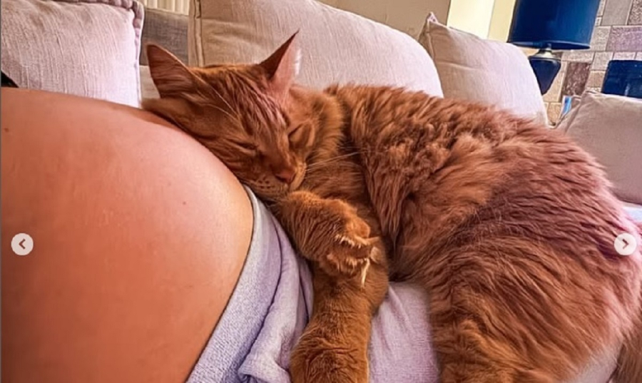 Ευρυδίκη Βαλαβάνη: Η νέα ανάρτηση στο Instagram με φουσκωμένη κοιλίτσα