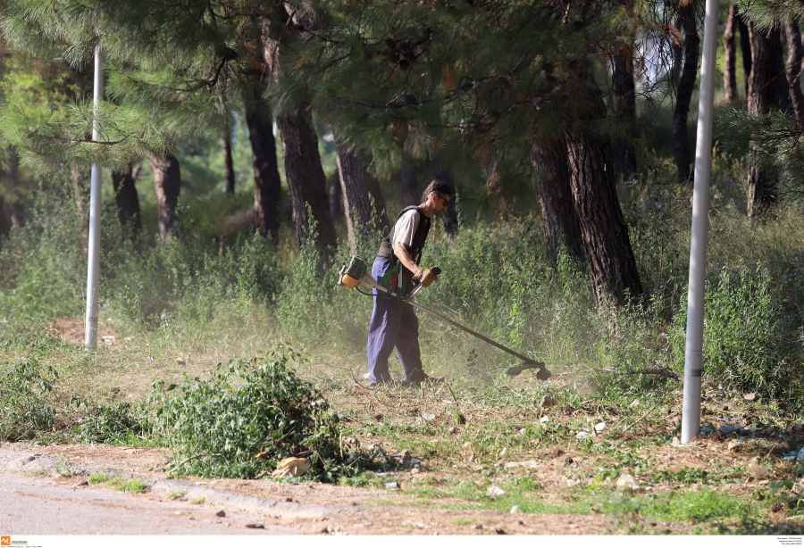 Ακαθάριστα οικόπεδα: Τα πρόστιμα για ψευδή δήλωση στην πλατφόρμα
