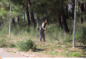 Ακαθάριστα οικόπεδα: Τα πρόστιμα για ψευδή δήλωση στην πλατφόρμα