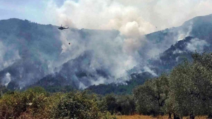 Σοκάρει το Αστεροσκοπείο Αθηνών: «Στάχτη» 2.770 στρέμματα από την πυρκαγιά της Θάσου